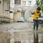 puddle-2863648_1280