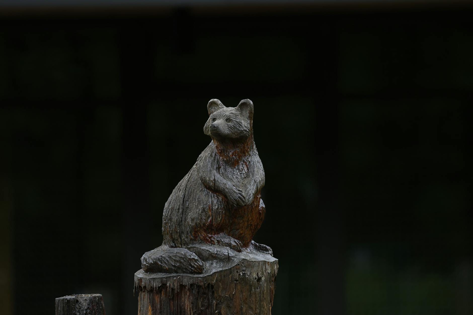 Drewniana rzeźba niedźwiedzia stojąca na pniu na ciemnym tle